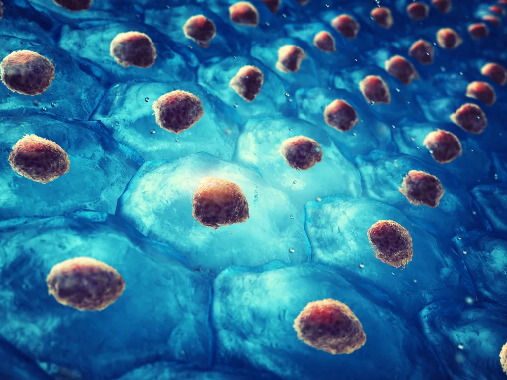 Illustration of a skin cell layer, highlighting the microscopic foundations of natural skincare science